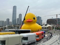 -深圳湾公园(南山区)
