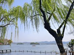 -西湖游船
