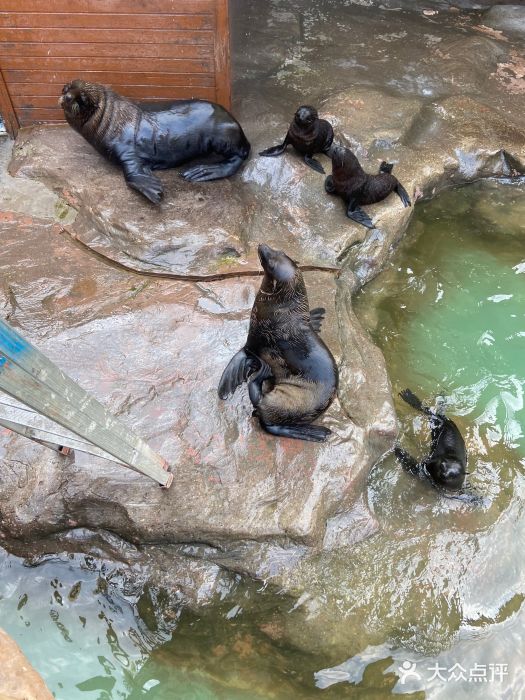 郑州海洋馆图片