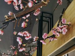 -老板恋上鱼(环山路店)
