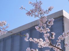 -龙美术馆(西岸馆)