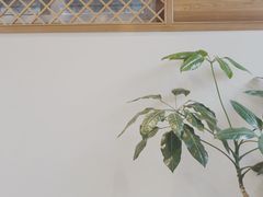 -VOYAGE COFFEE(杨梅竹店)
