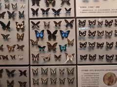 -天津自然博物馆