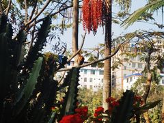 -曼听御花园