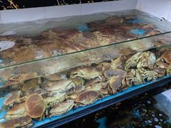 -马王堆海鲜水产市场