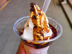 -麦丽丝红油辣椒冰淇淋(江家巷店)