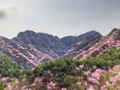 -妙峰山风景名胜区