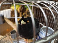 -丽江庭院之丽江往事(安定门店)