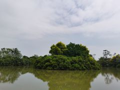 -大湾区中央湿地公园