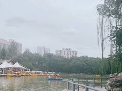 -莲湖公园
