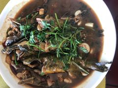 -杨辉饭店