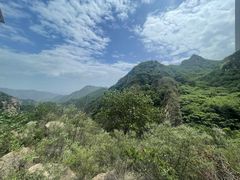 -大岭沟猕猴桃谷风景区