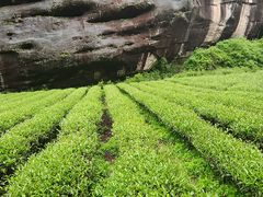 -武夷山风景名胜区-虎啸岩