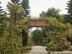 -东莞植物园