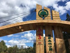 -五营红松林海景区