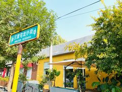 -三里屯东五街银杏大道