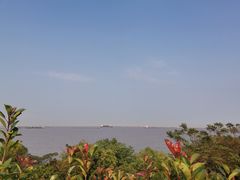 -吴淞炮台湾湿地森林公园烧烤区