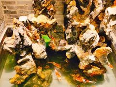 -鸭匠食府·挂炉烤鸭·新京菜(阜成路店)