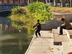 -泰州凤城河风景区-泰山公园