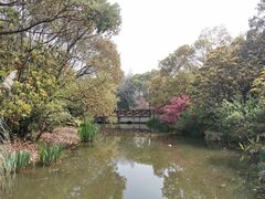 -上海滨江森林公园