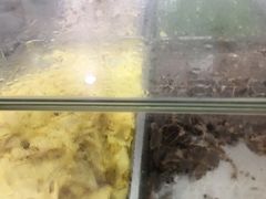 -孔师傅八仙老鸭粉丝汤(上海市第一食品商店南东店)