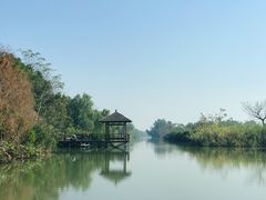 -大湾区中央湿地公园