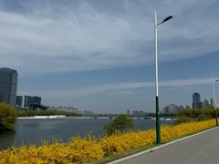 -长白岛森林公园