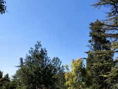 -清华大学-观畴园餐厅