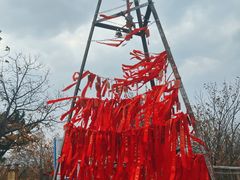 -帽儿山国家森林公园