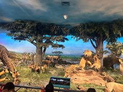 -国家自然博物馆