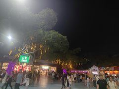 -广州长隆国际大马戏