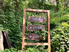 -大岭沟猕猴桃谷风景区