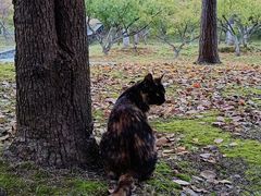 -蜀冈西峰生态公园