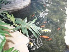 2-绿色时代大酒店