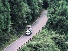 -武陵山森林公园