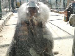 -新疆天山野生动物园