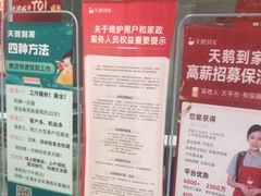 -天鹅到家·保姆月嫂育儿嫂(南开店)
