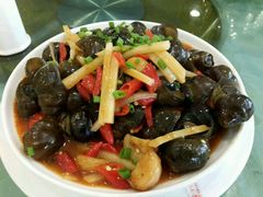 -金龙寨(龙城路店)