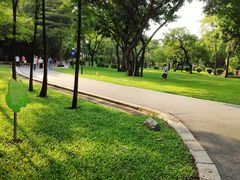 -晓港公园