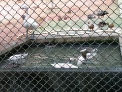 -广东茂名森林公园