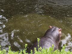 -济南野生动物世界