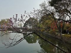 -无锡蠡湖国家湿地公园-蠡园