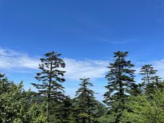 -峨眉山风景名胜区