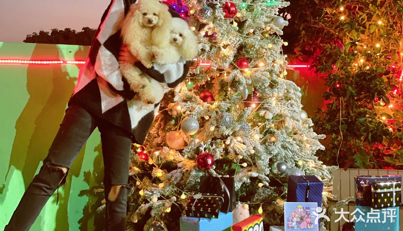 2020最后一天写给汪星人