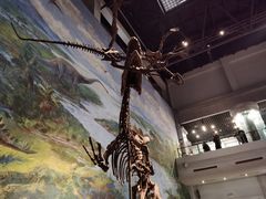 -自贡恐龙博物馆