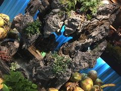 -东椰·海南椰子鸡火锅(朝阳门店)