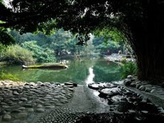 -成都市活水公园