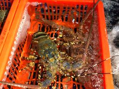 -79号渔船海鲜饭店(华强北店)