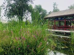 -西海子公园