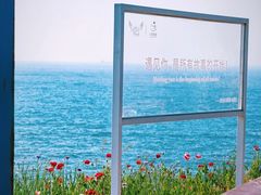 -燕儿岛山公园